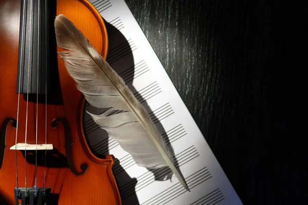 Bel Violino Piuma Sul Libro Musica Sullo Sfondo Scuro — Foto Stock