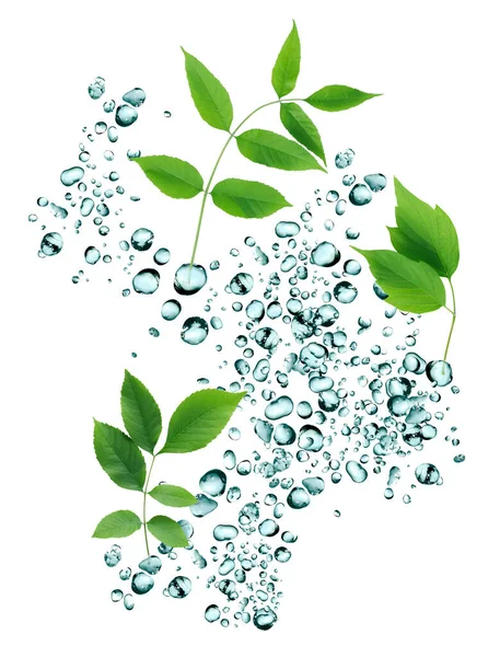 夏の雨の概念 水滴を背景に新鮮な緑の葉 — ストック写真