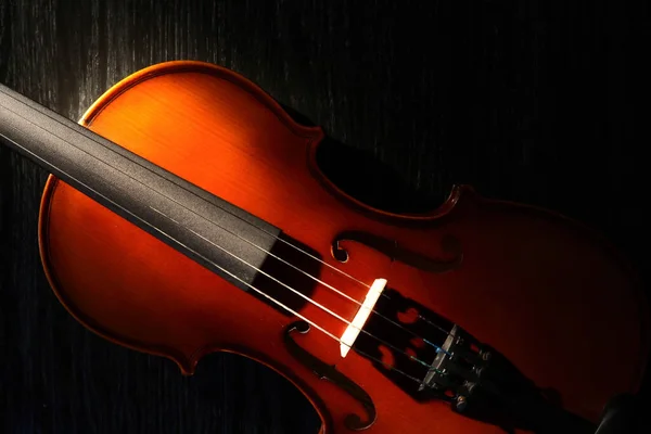 Bel Primo Piano Violino Sfondo Nero Sotto Fascio Luce — Foto Stock