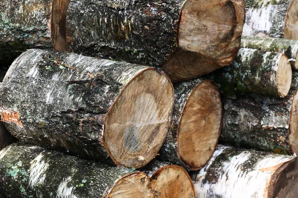 Drewniane Tło Stos Świeżo Ściętych Kłód Zbliżenie — Zdjęcie stockowe