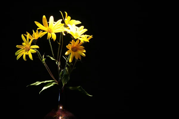 玻璃花瓶中黑色背景的漂亮黄色野花 图库图片