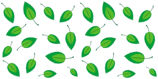 Весенний Безморщинистый Экофон Зелеными Листьями Изолированными Белом Векторной Иллюстрации — стоковый вектор