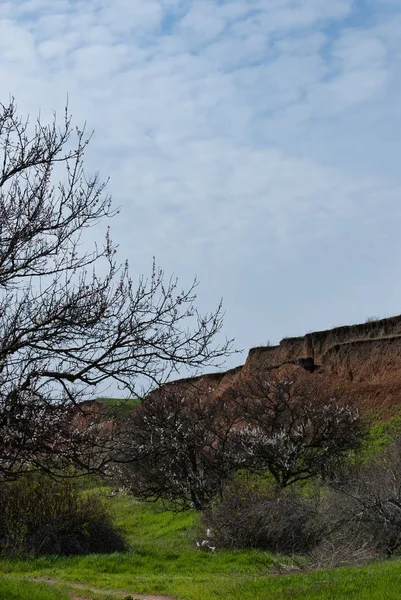 Paisaje — Foto de Stock