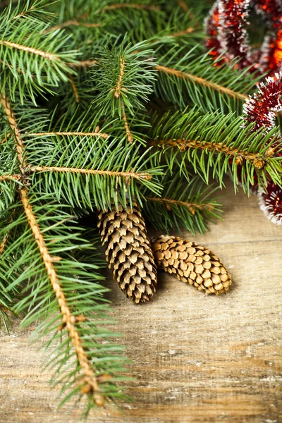 Pinecones 보드와 크리스마스 전나무 — 스톡 사진