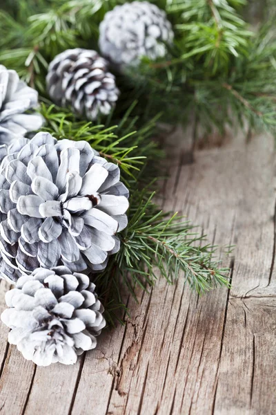 Christmas decorations. Evergreen fir tree branch and white pine cones closeup on wooden background.