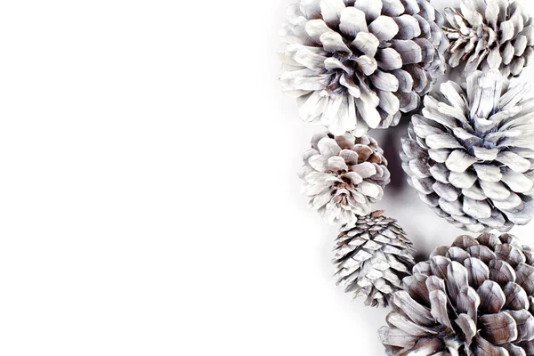 Beyaz Dekoratif Çam Kozalakları Beyaz Bir Arkaplanda Yakın Plan — Stok fotoğraf