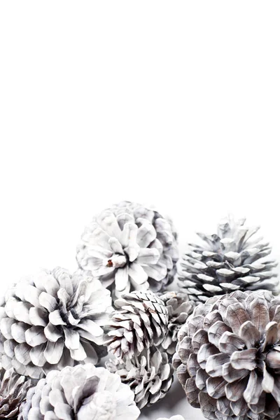 Cones Pinheiro Decorativos Brancos Closeup Fundo Branco — Fotografia de Stock