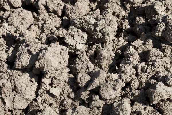 Dirt background texture — Stock Photo, Image