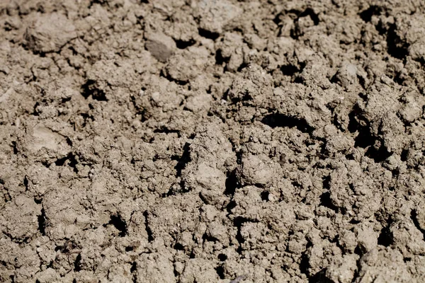 Soil prepared for cultivation. — Stock Photo, Image