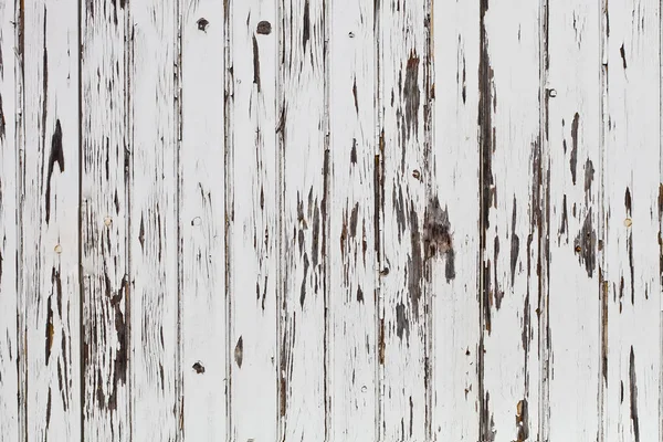 Old wooden white door background. — Stock Photo, Image