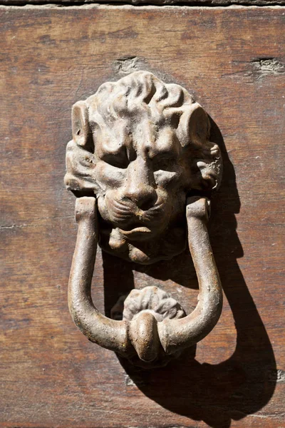 Lion gevormde deur knocker. — Stockfoto