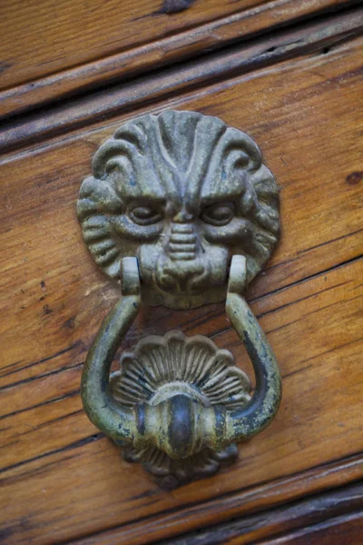 Lion shaped door knocker. — Stock Photo, Image
