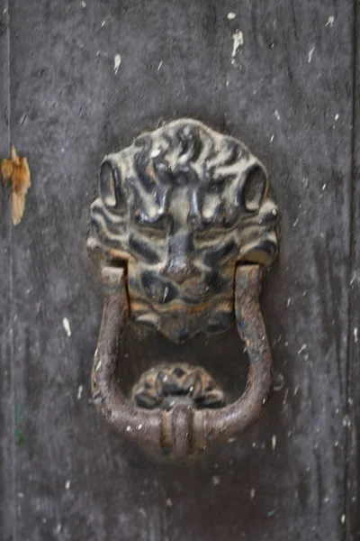 Forntida italiensk lejonformad dörrknackare — Stockfoto