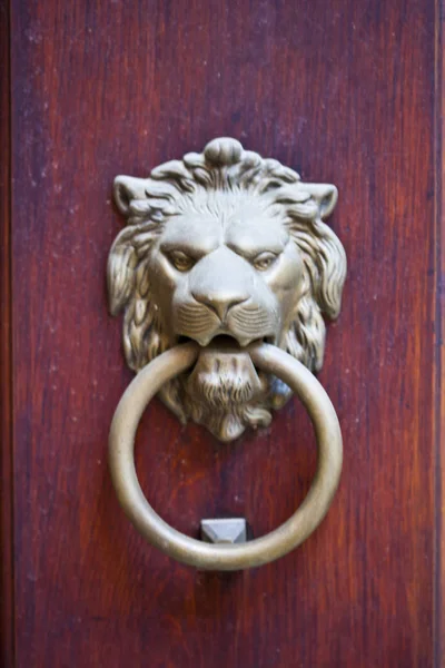 Дверной стукач в форме льва — стоковое фото