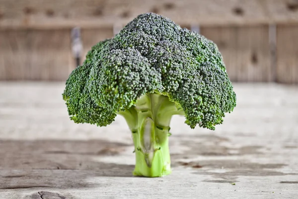 Fresh green organic broccoli. — Stock Photo, Image