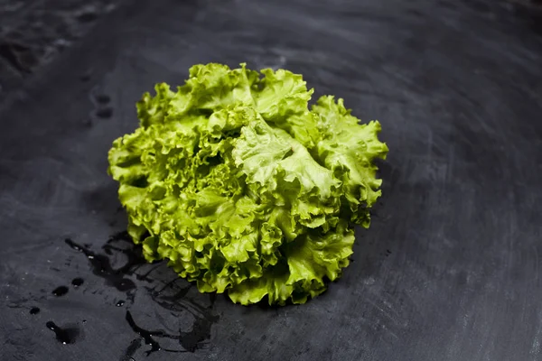 Green organic lettuce salad. — Stock Photo, Image