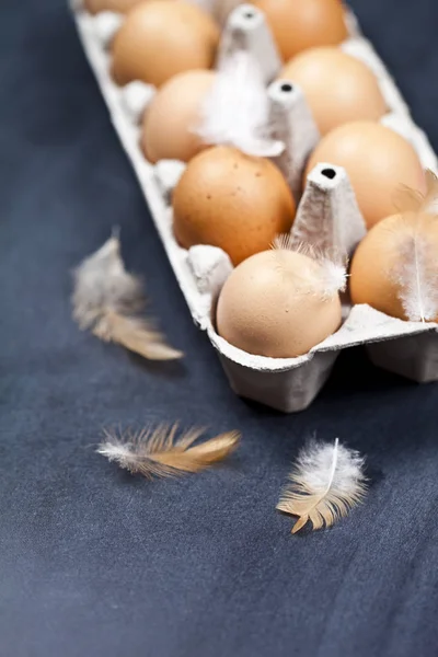 Ovos de galinha de fazenda em recipiente de papelão e penas . — Fotografia de Stock