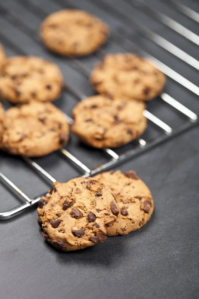 Rejilla para hornear con galletas de chokolato — Foto de Stock