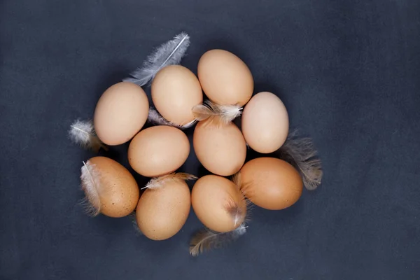 Ovos e penas de galinha de criação biológica . — Fotografia de Stock