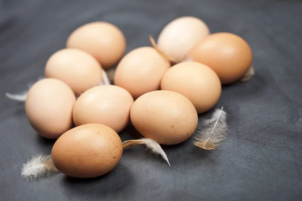 Uova e piume di pollo da fattoria — Foto Stock
