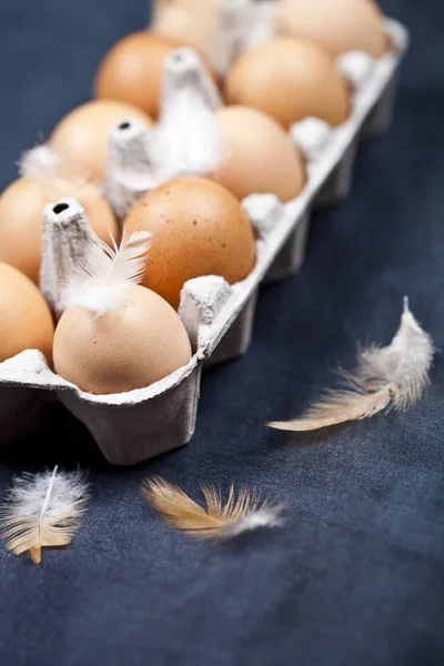 Ovos de galinha de fazenda em recipiente de papelão e penas . — Fotografia de Stock