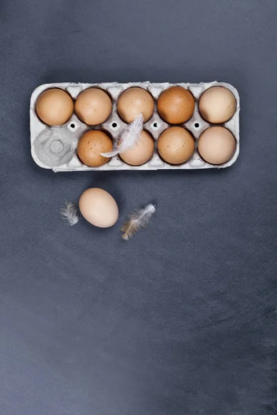 Gården kyckling ägg i kartong behållare och fjädrar. — Stockfoto