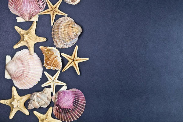 Top view of shells and starfish group on black background. — Stock Photo, Image