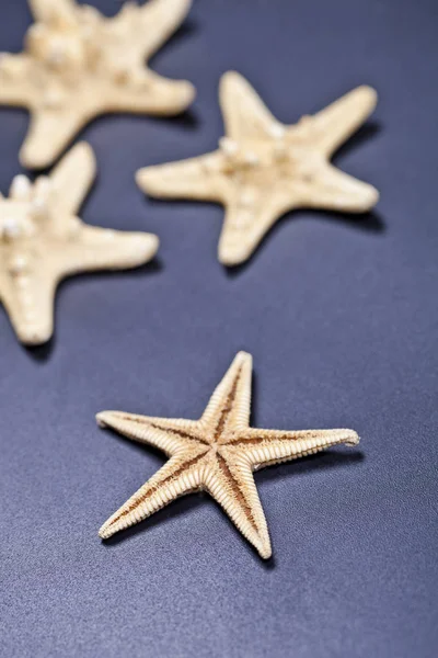 Starfish closeup on deep blue. — Stock Photo, Image