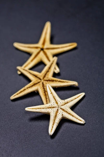 Three starfish on black background. — Stock Photo, Image