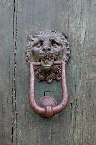 Ancient italian lion shaped door knocker — Stock Photo, Image