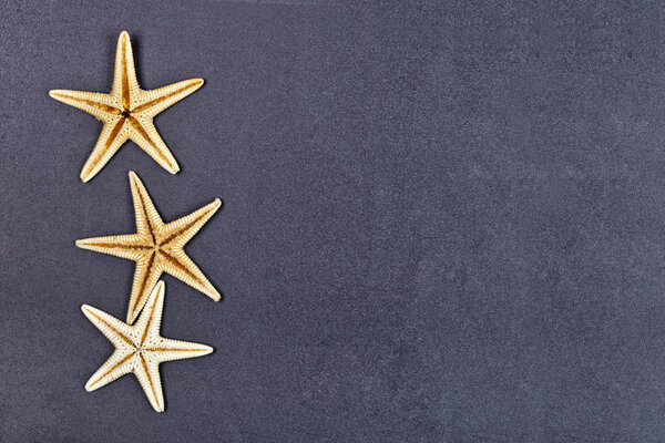 Top view of three starfish on black background.