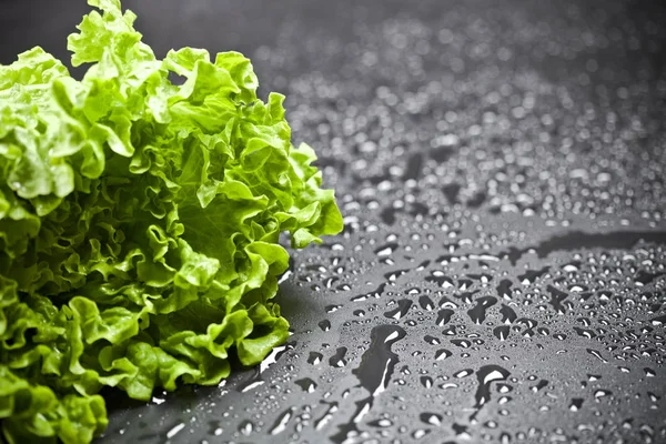 Green organic lettuce salad with water drops closeup on black ba — Stock Photo, Image