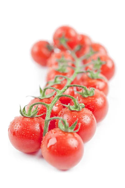 Świeże organiczne mokre pomidory cherry pęczek. — Zdjęcie stockowe