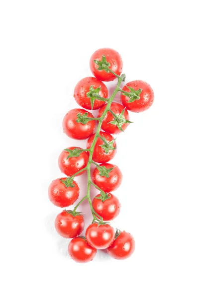 Verse organische natte cherry tomaten tros geïsoleerd op wit. — Stockfoto