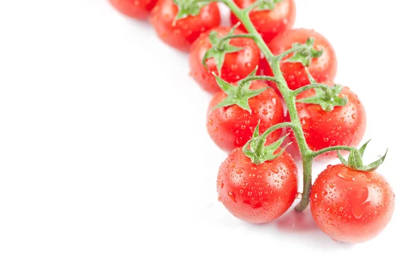 Taze organik ıslak kiraz domates demet closeup, whi izole — Stok fotoğraf