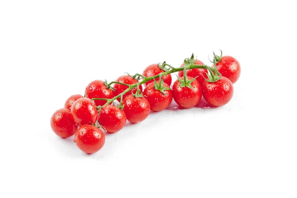 Fresh organic wet cherry tomatoes bunch isolated on white. — Stock Photo, Image