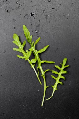 Üç yeşil taze rucola veya arugula yaprakları.