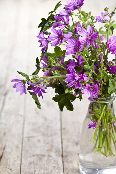 Fiori viola selvatici in bottiglia di vetro su zaino tavolo in legno rustico — Foto Stock