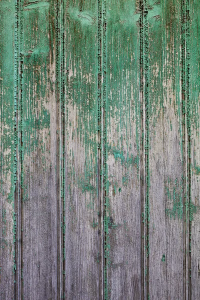 Old wooden green door grunge texture. — Stock Photo, Image