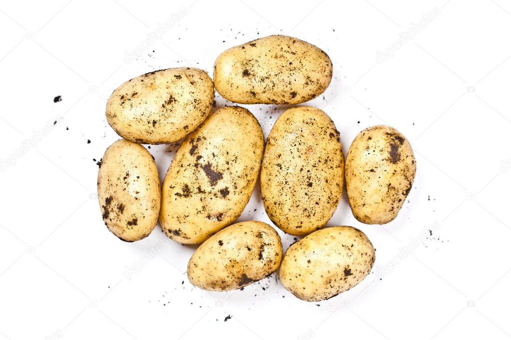 Newly harvested dirty potatoes heap isolated on white background