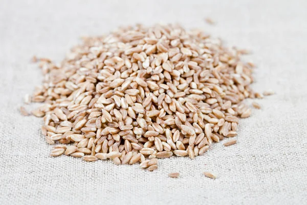Dry raw organic wheat grain heap on linen tablecloth background. — Stock Photo, Image