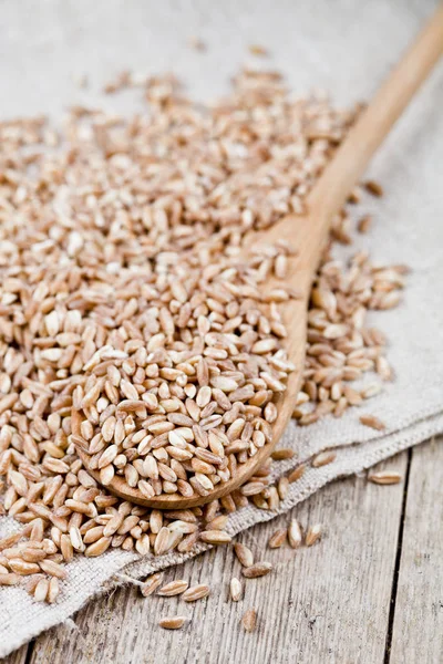 Сухое сырое органическое зерно пшеницы кучей в деревянной ложке на льняной столешнице — стоковое фото