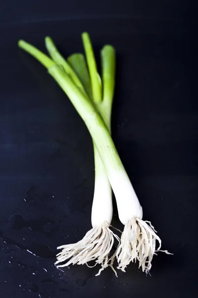 Świeży organiczny zielony cebula na mokro czarny tło. — Zdjęcie stockowe