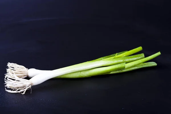 Fresh organic green onion on wet black background. — Stock Photo, Image