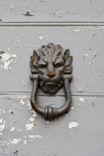 Porta em forma de leão italiano antigo batedor na porta cinza de madeira . — Fotografia de Stock