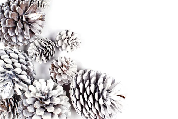 Bílé dekorativní borovicové kužely detailní up na bílém pozadí. — Stock fotografie