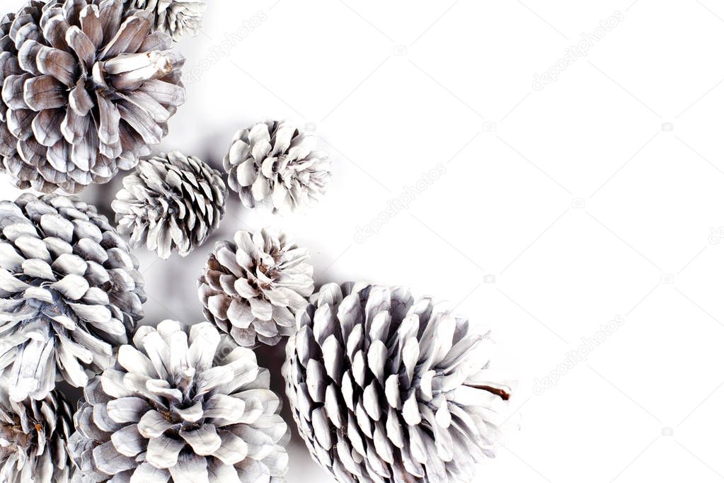 White decorative pine cones closeup on a white background.