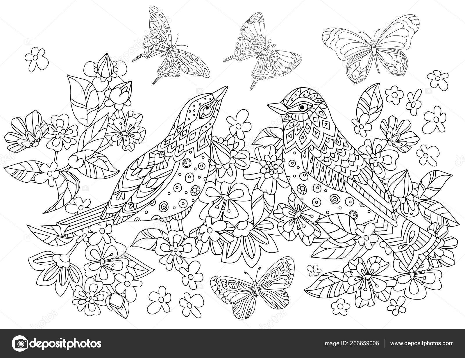 View Pictures Of Flowers And Butterflies And Birds Pics