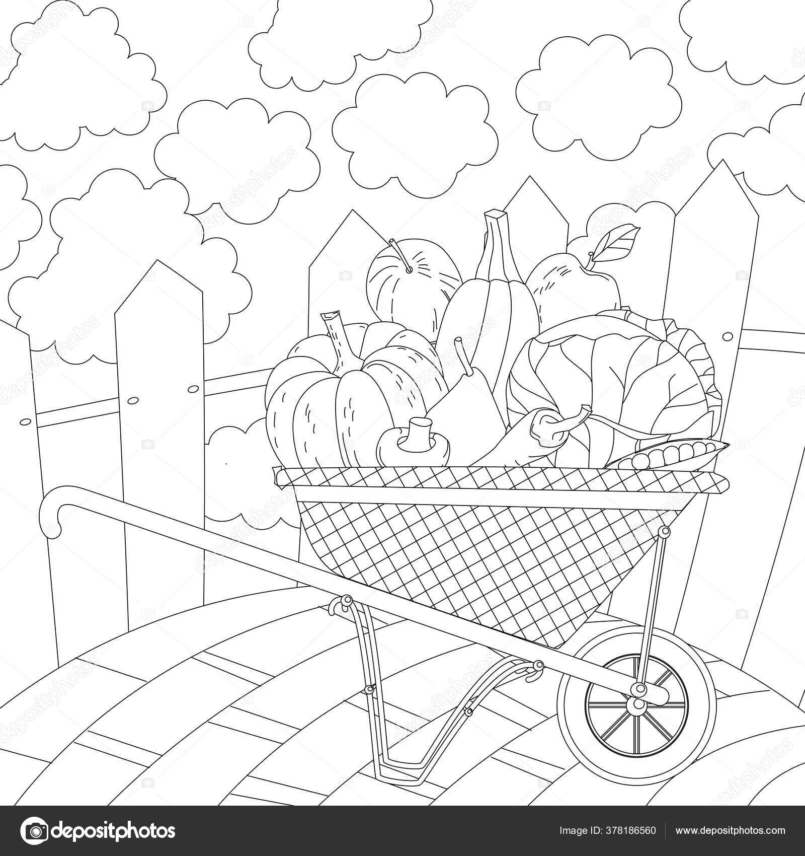 Funny Checkered Wheelbarrow Different Vegetables Fruits Rustic Fence Cloudy Sky Stock Vector C Oksana 378186560