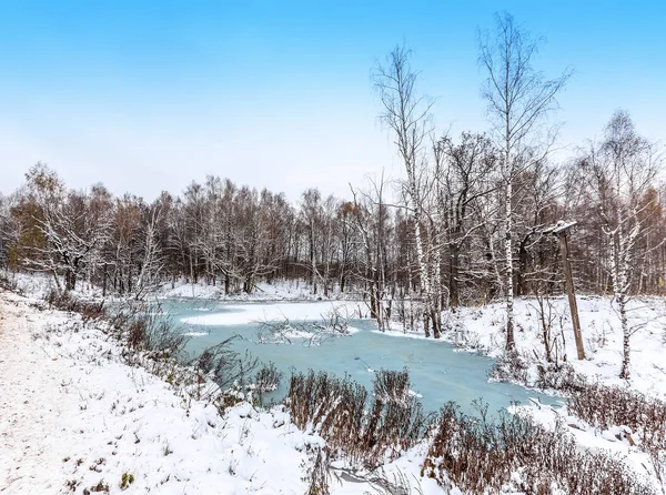 Costa Congelada Uma Lagoa Inverno Grama Neve Distrito Zaoksky Oblast — Fotografia de Stock